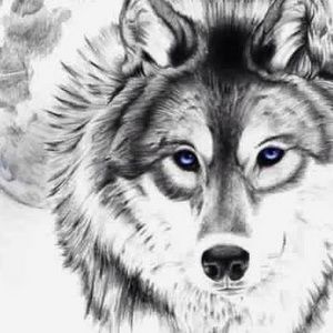 Meet your Posher, Blake